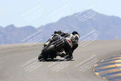 media/May-14-2022-SoCal Trackdays (Sat) [[7b6169074d]]/Turn 12 Backside (1135am)/